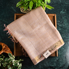Tussar With Hand Painted Border