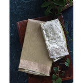 Tissue organza saree with velvet blouse